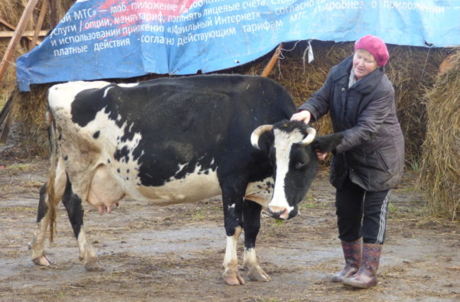Половодовский фермер получил субсидию от Министерства сельского хозяйства и продовольствия Пермского края